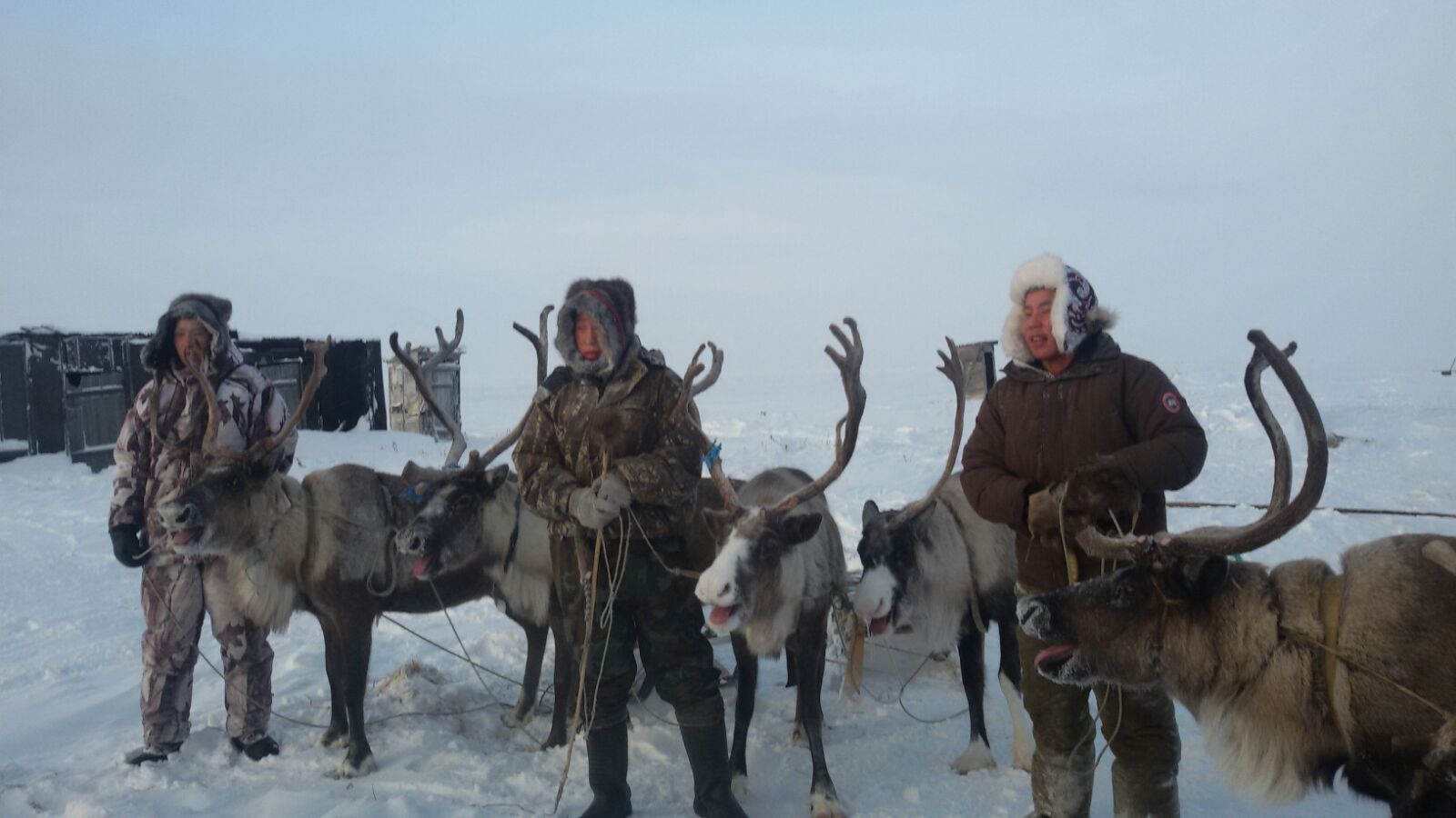 Chukchi reindeer herders in Chersky 