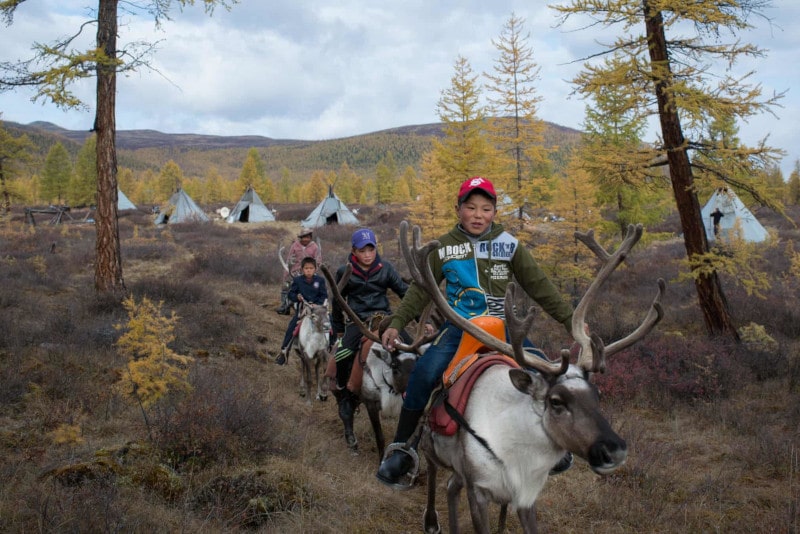 Boy riding a reindeer