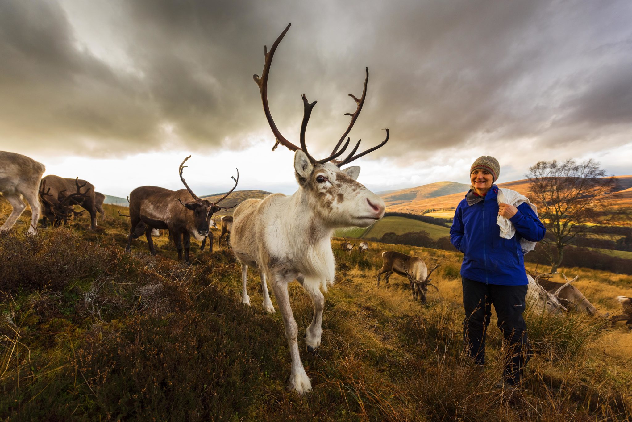 Tilly with reindeer 3 Credit John Paul 2048x1367