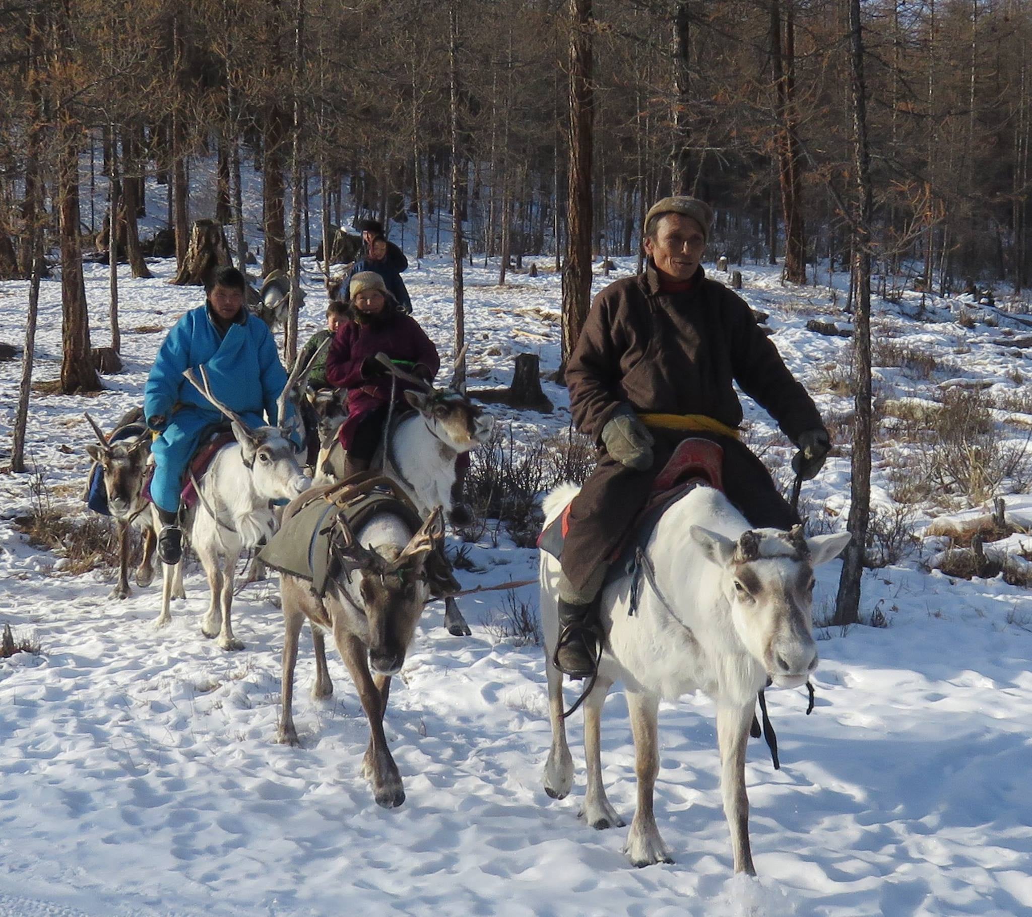 Mongolian herders