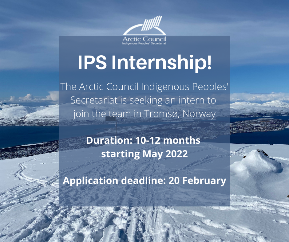 IPS internship