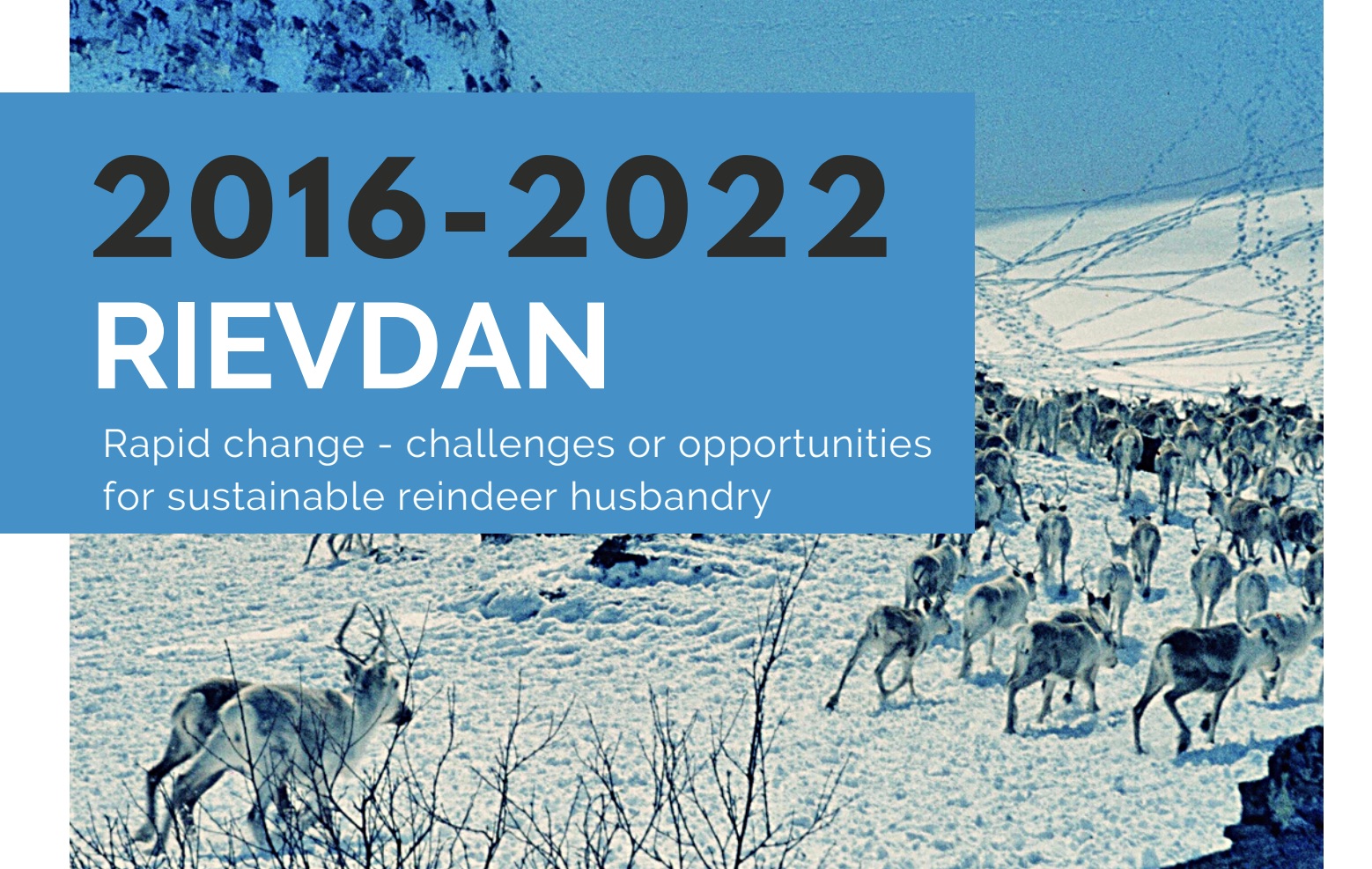 RIEVDAN report available 
