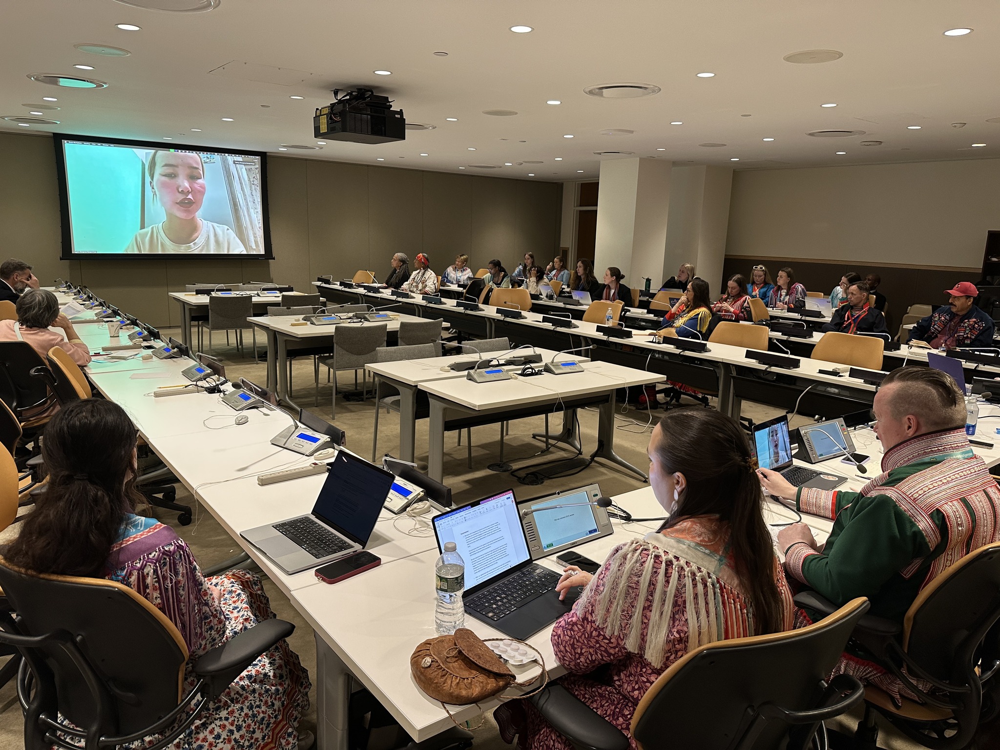 UNPFII RHR session3