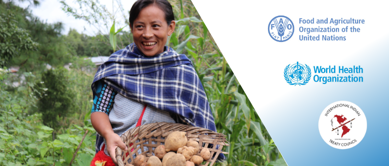 FAO Launches Global Questionnaire on Pesticide Management for Indigenous Peoples