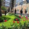 May 17 Celebrations Moscow, 2016