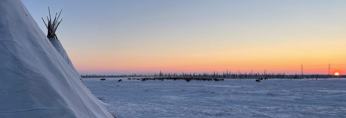 Reindeer Herders camp during winter