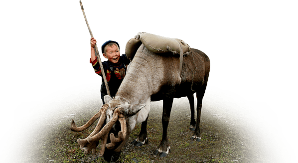 boy and reindeer